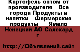 Картофель оптом от производителя - Все города Продукты и напитки » Фермерские продукты   . Ямало-Ненецкий АО,Салехард г.
